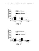 TECHNOLOGIES FOR PANCREATIC ISLET TRANSPLANTATION diagram and image