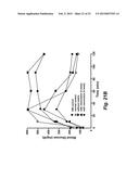 TECHNOLOGIES FOR PANCREATIC ISLET TRANSPLANTATION diagram and image