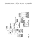 GENE THERAPY VECTORS FOR ADRENOLEUKODYSTROPHY AND ADRENOMYELONEUROPATHY diagram and image