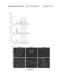 METHOD FOR SELECTING A POOL OF MOLECULES diagram and image