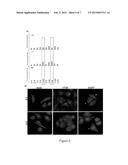 METHOD FOR SELECTING A POOL OF MOLECULES diagram and image