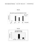 ANTI-CXCR4 ANTIBODIES AND ANTIBODY-DRUG CONJUGATES diagram and image