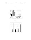 ANTI-CXCR4 ANTIBODIES AND ANTIBODY-DRUG CONJUGATES diagram and image