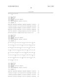 ANTI-CXCR4 ANTIBODIES AND ANTIBODY-DRUG CONJUGATES diagram and image