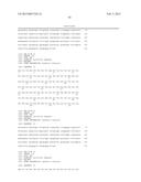 ANTI-CXCR4 ANTIBODIES AND ANTIBODY-DRUG CONJUGATES diagram and image