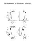 AMINO ACID SEQUENCES DIRECTED AGAINST IL-6R AND POLYPEPTIDES COMPRISING     THE SAME FOR THE TREATMENT OF IL-6R RELATED DISEASES AND DISORDERS diagram and image