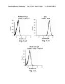 AMINO ACID SEQUENCES DIRECTED AGAINST IL-6R AND POLYPEPTIDES COMPRISING     THE SAME FOR THE TREATMENT OF IL-6R RELATED DISEASES AND DISORDERS diagram and image