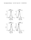 AMINO ACID SEQUENCES DIRECTED AGAINST IL-6R AND POLYPEPTIDES COMPRISING     THE SAME FOR THE TREATMENT OF IL-6R RELATED DISEASES AND DISORDERS diagram and image