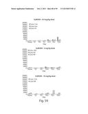 AMINO ACID SEQUENCES DIRECTED AGAINST IL-6R AND POLYPEPTIDES COMPRISING     THE SAME FOR THE TREATMENT OF IL-6R RELATED DISEASES AND DISORDERS diagram and image