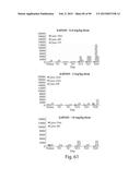 AMINO ACID SEQUENCES DIRECTED AGAINST IL-6R AND POLYPEPTIDES COMPRISING     THE SAME FOR THE TREATMENT OF IL-6R RELATED DISEASES AND DISORDERS diagram and image