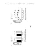 ANTI-ACTIVIN A  ANTIBODIES AND USES THEREOF diagram and image