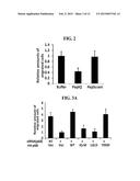 METHOD TO PREVENT CANCER METASTASIS AND INHIBIT INFLAMMATION BY INHIBITION     OF P68 INTERACTION WITH CALMODULIN diagram and image