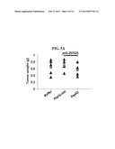 METHOD TO PREVENT CANCER METASTASIS AND INHIBIT INFLAMMATION BY INHIBITION     OF P68 INTERACTION WITH CALMODULIN diagram and image