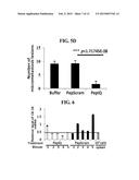 METHOD TO PREVENT CANCER METASTASIS AND INHIBIT INFLAMMATION BY INHIBITION     OF P68 INTERACTION WITH CALMODULIN diagram and image