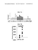 METHOD TO PREVENT CANCER METASTASIS AND INHIBIT INFLAMMATION BY INHIBITION     OF P68 INTERACTION WITH CALMODULIN diagram and image