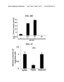 METHOD TO PREVENT CANCER METASTASIS AND INHIBIT INFLAMMATION BY INHIBITION     OF P68 INTERACTION WITH CALMODULIN diagram and image