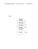 HUMAN BINDING MOLECULES CAPABLE OF BINDING TO AND NEUTRALIZING INFLUENZA B     VIRUSES AND USES THEREOF diagram and image