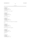 HUMAN BINDING MOLECULES CAPABLE OF BINDING TO AND NEUTRALIZING INFLUENZA B     VIRUSES AND USES THEREOF diagram and image