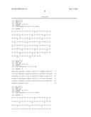 HUMAN BINDING MOLECULES CAPABLE OF BINDING TO AND NEUTRALIZING INFLUENZA B     VIRUSES AND USES THEREOF diagram and image