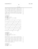 HUMAN BINDING MOLECULES CAPABLE OF BINDING TO AND NEUTRALIZING INFLUENZA B     VIRUSES AND USES THEREOF diagram and image