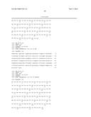 HUMAN BINDING MOLECULES CAPABLE OF BINDING TO AND NEUTRALIZING INFLUENZA B     VIRUSES AND USES THEREOF diagram and image