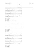 HUMAN BINDING MOLECULES CAPABLE OF BINDING TO AND NEUTRALIZING INFLUENZA B     VIRUSES AND USES THEREOF diagram and image