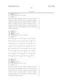 HUMAN BINDING MOLECULES CAPABLE OF BINDING TO AND NEUTRALIZING INFLUENZA B     VIRUSES AND USES THEREOF diagram and image