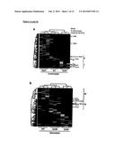 NEGATIVE MODULATOR OF HEDGEHOG SIGNALLING FOR USE IN TREATING TH2-MEDIATED     DISEASES diagram and image