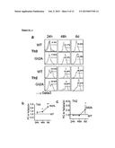 NEGATIVE MODULATOR OF HEDGEHOG SIGNALLING FOR USE IN TREATING TH2-MEDIATED     DISEASES diagram and image