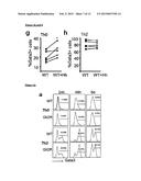 NEGATIVE MODULATOR OF HEDGEHOG SIGNALLING FOR USE IN TREATING TH2-MEDIATED     DISEASES diagram and image