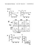 NEGATIVE MODULATOR OF HEDGEHOG SIGNALLING FOR USE IN TREATING TH2-MEDIATED     DISEASES diagram and image