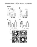 NEGATIVE MODULATOR OF HEDGEHOG SIGNALLING FOR USE IN TREATING TH2-MEDIATED     DISEASES diagram and image