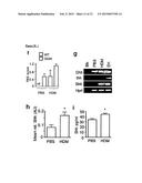 NEGATIVE MODULATOR OF HEDGEHOG SIGNALLING FOR USE IN TREATING TH2-MEDIATED     DISEASES diagram and image