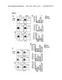 NEGATIVE MODULATOR OF HEDGEHOG SIGNALLING FOR USE IN TREATING TH2-MEDIATED     DISEASES diagram and image