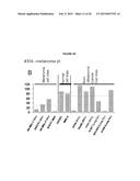 GENERATION OF ANTIBODIES TO TUMOR ANTIGENS AND GENERATION OF TUMOR     SPECIFIC COMPLEMENT DEPENDENT CYTOTOXICITY BY ADMINISTRATION OF ONCOLYTIC      VACCINIA VIRUS diagram and image