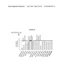 GENERATION OF ANTIBODIES TO TUMOR ANTIGENS AND GENERATION OF TUMOR     SPECIFIC COMPLEMENT DEPENDENT CYTOTOXICITY BY ADMINISTRATION OF ONCOLYTIC      VACCINIA VIRUS diagram and image