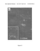 Composition and Methods for Treating Cancer diagram and image