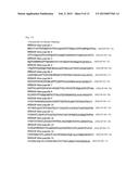 NOVEL MALARIA VACCINE diagram and image