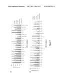 Methods and Compositions Of Protein Antigens For The Diagnosis And     Treatment of Herpes Simplex Viruses Type 1 and 2 diagram and image