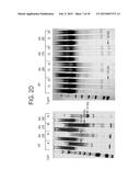 COMPOSITIONS, METHODS, AND KITS FOR ENHANCING THE IMMUNOGENICITY OF     PATHOGENIC ANTIGENS diagram and image