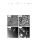 pH-Responsive High-Density Lipoprotein-Like Particle Complex diagram and image