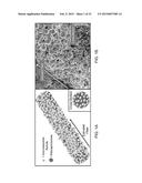 CERAMIC-CONTAINING BIOACTIVE INKS AND PRINTING METHODS FOR TISSUE     ENGINEERING APPLICATIONS diagram and image