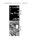 CERAMIC-CONTAINING BIOACTIVE INKS AND PRINTING METHODS FOR TISSUE     ENGINEERING APPLICATIONS diagram and image