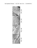 CERAMIC-CONTAINING BIOACTIVE INKS AND PRINTING METHODS FOR TISSUE     ENGINEERING APPLICATIONS diagram and image