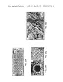 CERAMIC-CONTAINING BIOACTIVE INKS AND PRINTING METHODS FOR TISSUE     ENGINEERING APPLICATIONS diagram and image