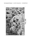 CERAMIC-CONTAINING BIOACTIVE INKS AND PRINTING METHODS FOR TISSUE     ENGINEERING APPLICATIONS diagram and image