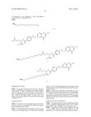 Functional PLA-PEG Copolymers, the Nanoparticles Thereof, Their     Preparation and Use for Targeted Drug Delivery and Imaging diagram and image