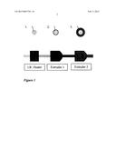 CABLE HAVING STRENGTH MEMBER WITH BONDED POLYMER COATINGS TO CREATE     CONTINUOUSLY BONDED JACKETED STRENGTH MEMBER SYSTEM diagram and image