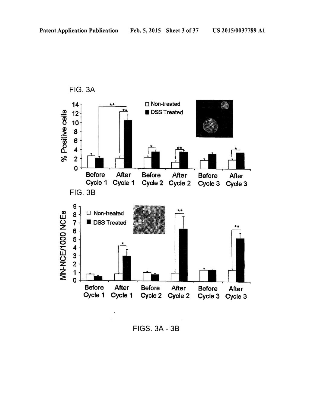 SYSTEMIC GENOTOXICITY AS BLOOD MARKER FOR ALLERGIC INFLAMMATION - diagram, schematic, and image 04