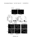 SYSTEMIC GENOTOXICITY AS BLOOD MARKER FOR ALLERGIC INFLAMMATION diagram and image